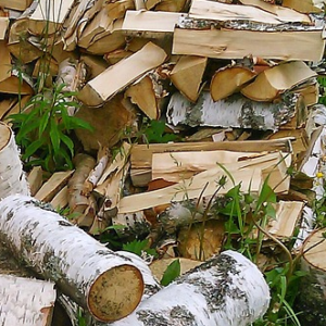 Suomalaiset koivuklapit